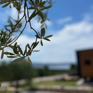 Zu , Urla Türkiye